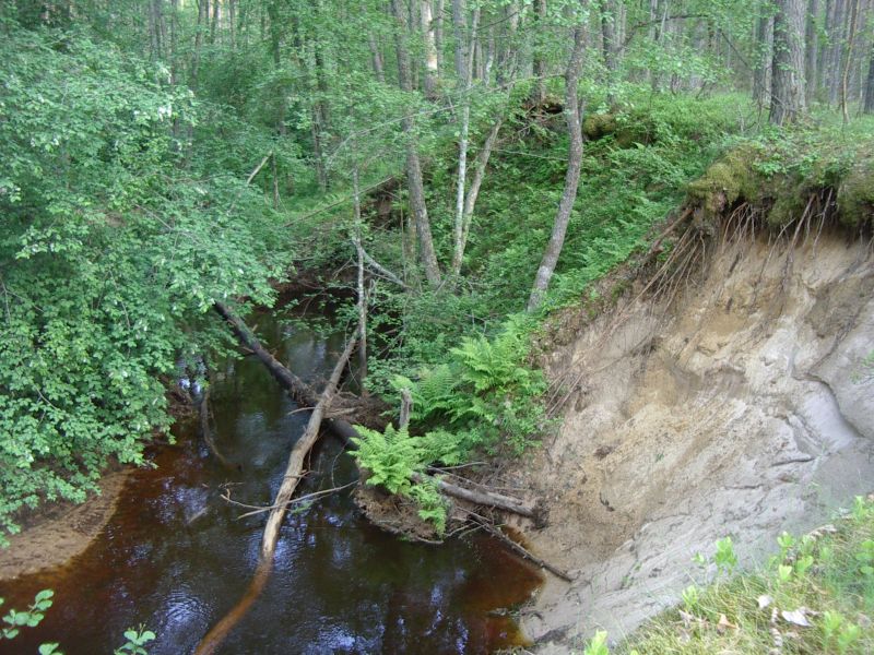 Botaanika10bKauksi008.jpg