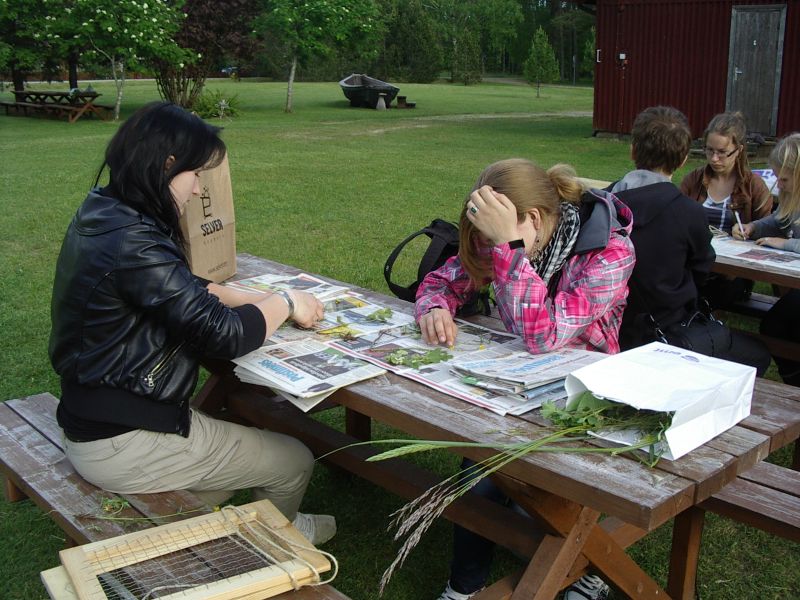 Botaanika10bKauksi010.jpg