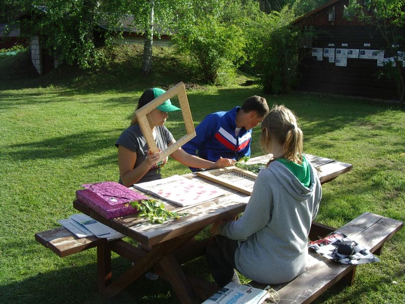 Botaanika10bKauksi012.jpg