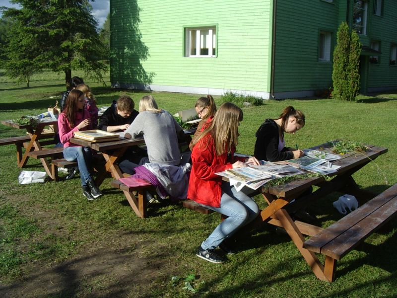 Botaanika10bKauksi013.jpg