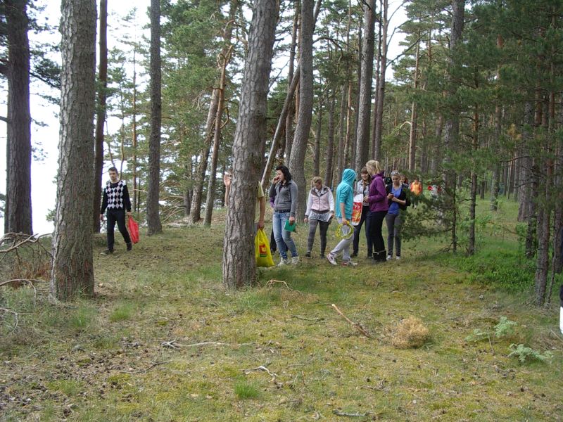 Botaanika10bKauksi014.jpg