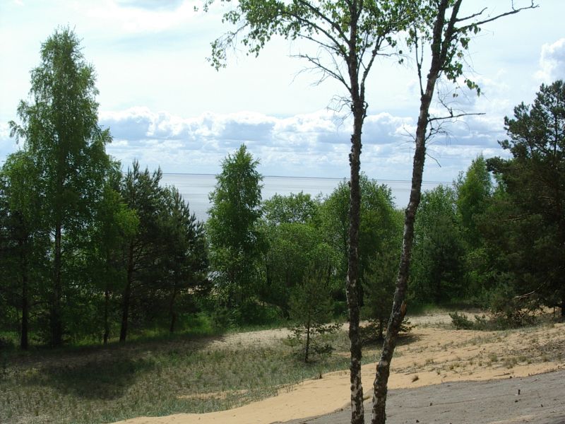 Botaanika10bKauksi033.jpg