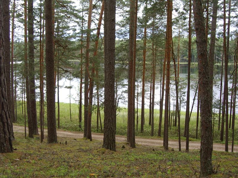 Botaanika10mIlumetsa008.jpg