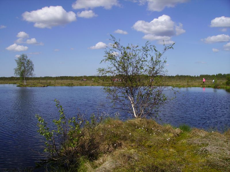 i1919.jpg