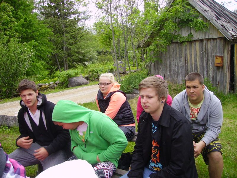 i2219.jpg