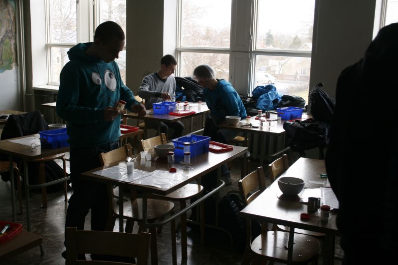 2012kreemidTTY014.jpg
