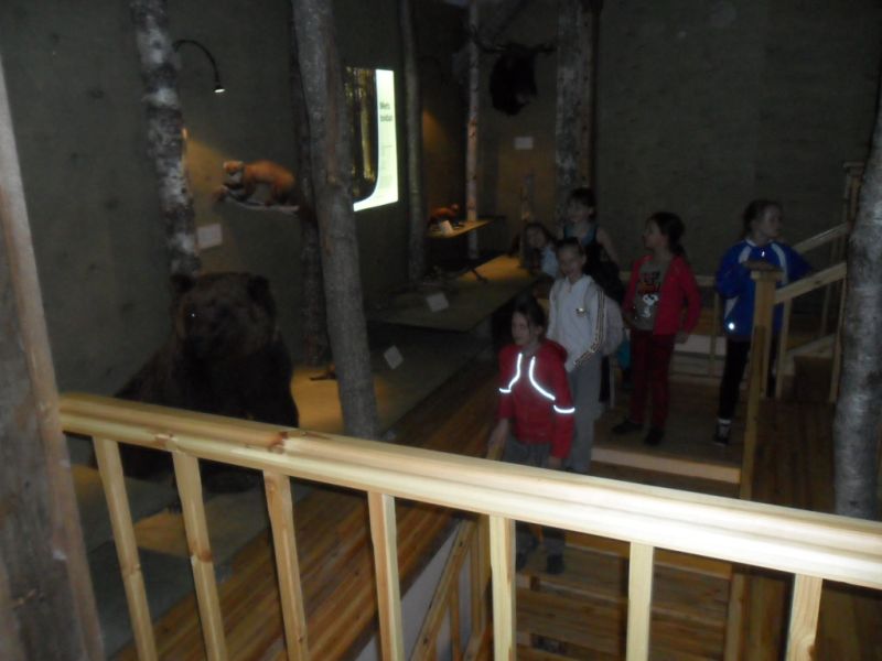 sam_0272.jpg