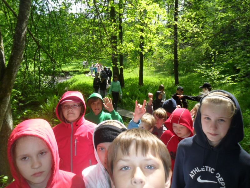 sam_0304.jpg