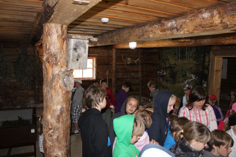 6000.jpg