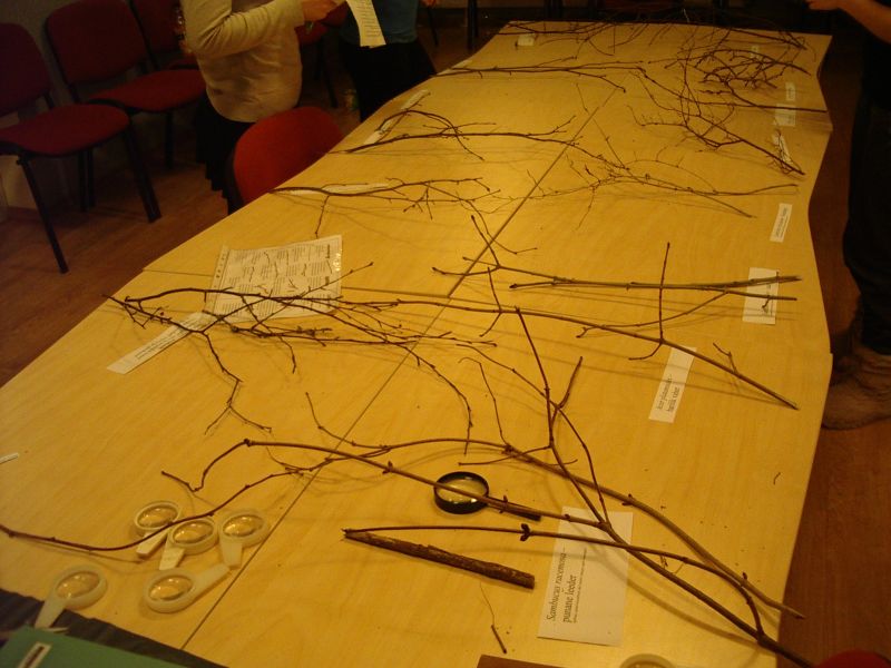 20122013talvepraktika10bOtep22023.jpg