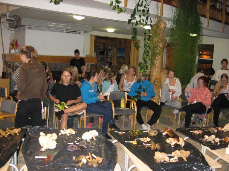 20122013seenepraktika10b012.jpg