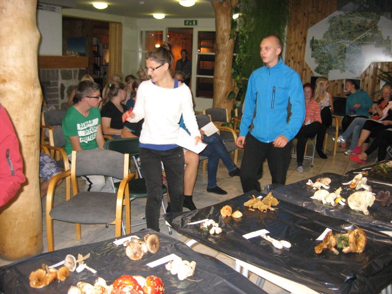 20122013seenepraktika10b013.jpg
