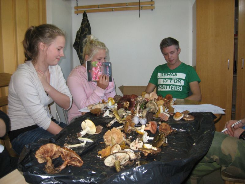 20122013seenepraktika10b015.jpg
