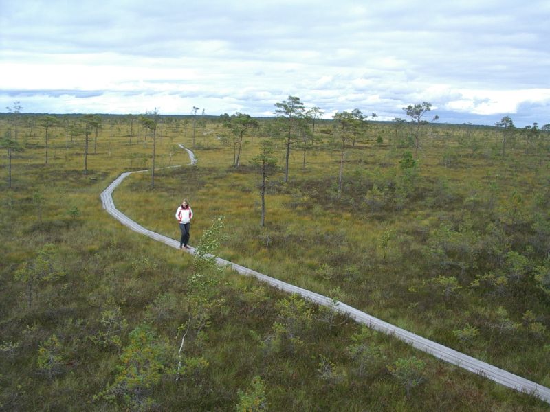 2012seenepraktika10b014.jpg