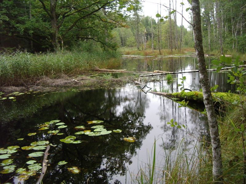 2012seenepraktika10b020.jpg
