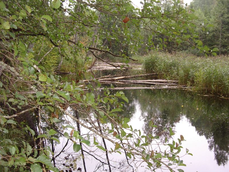 2012seenepraktika10b021.jpg