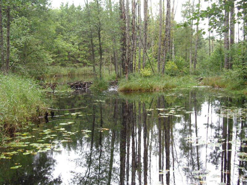 2012seenepraktika10b025.jpg