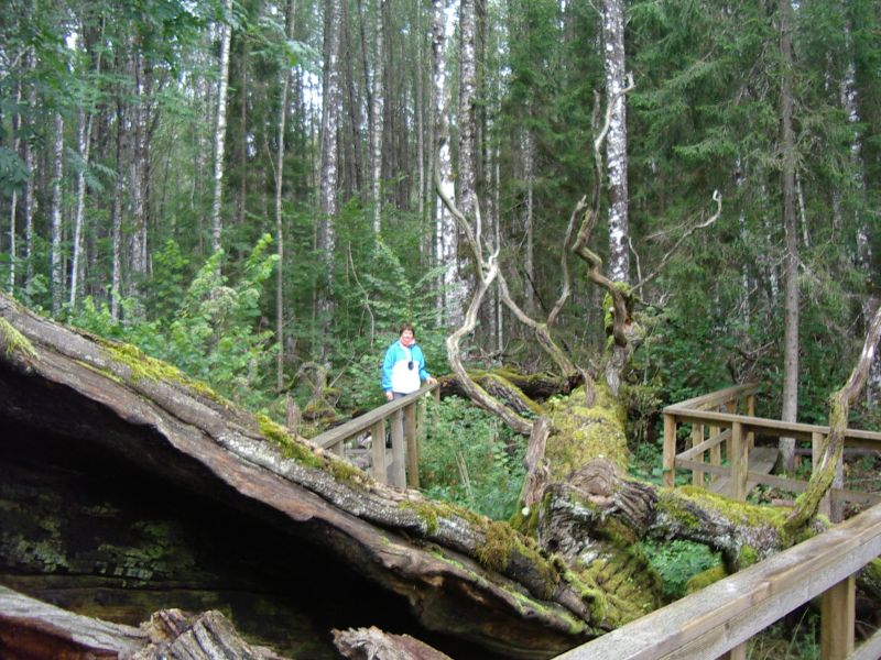 2012seenepraktika10b028.jpg