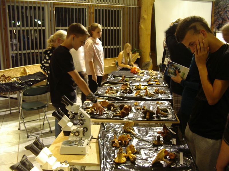 2012seenepraktika10b032.jpg