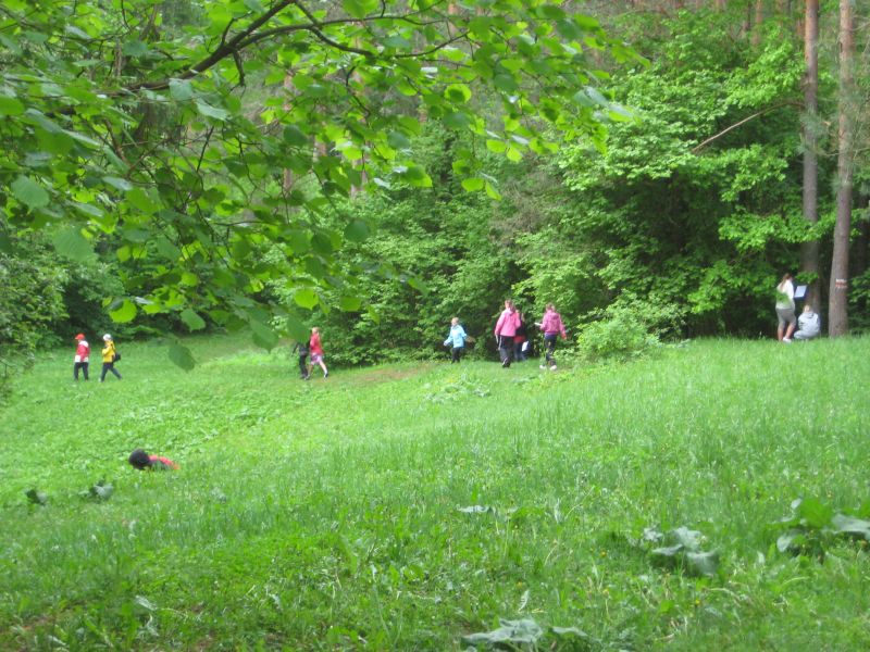 2012-095.jpg
