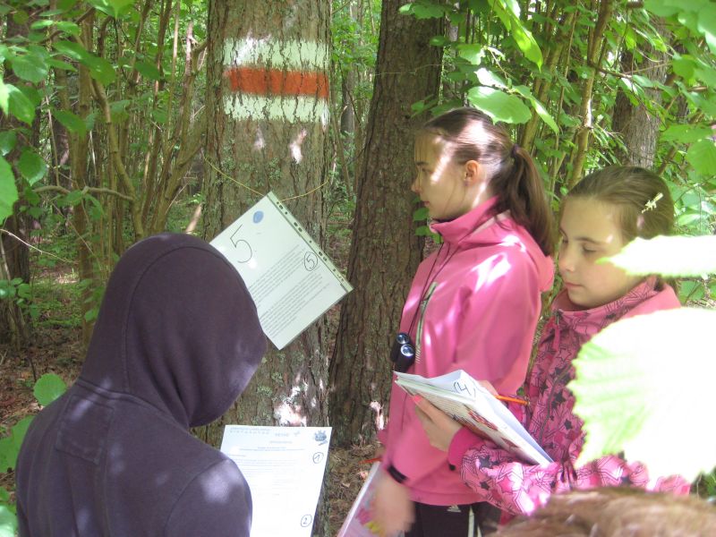 2012-099.jpg