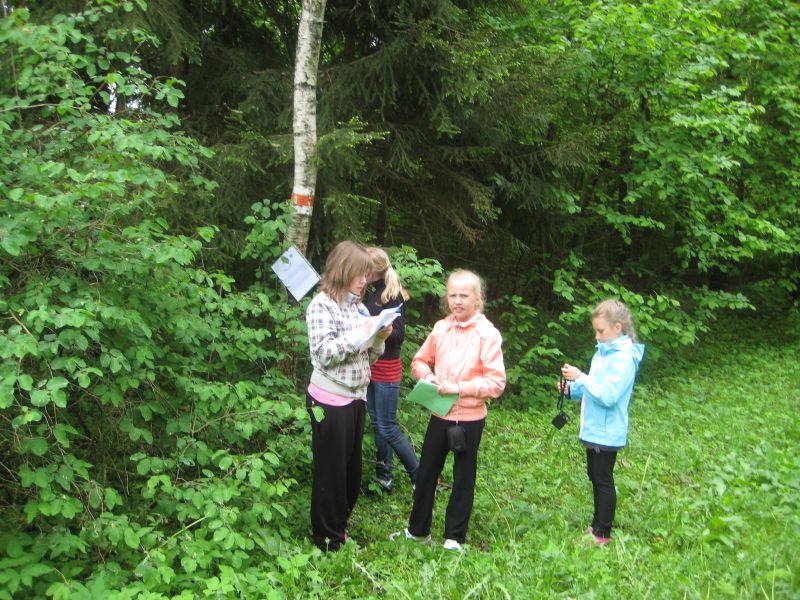 2012-100.jpg