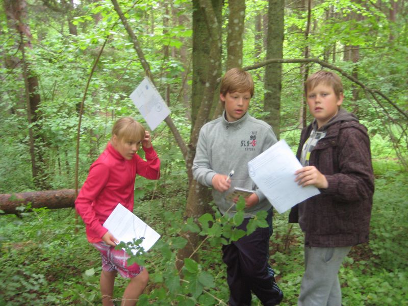 2012-107.jpg