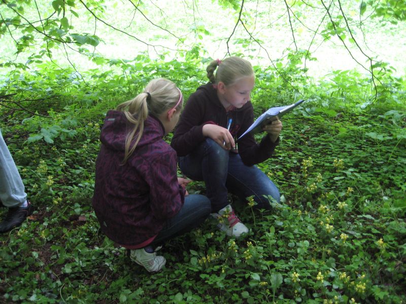 2012-108.jpg