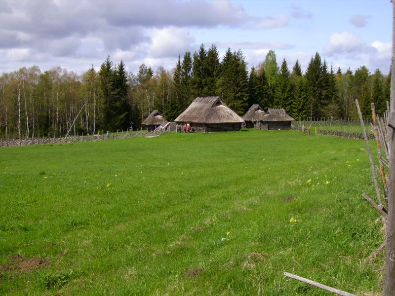 111.jpg