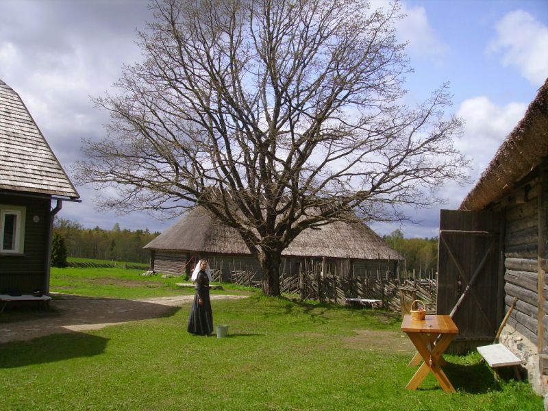 138.jpg