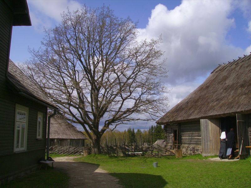 140.jpg