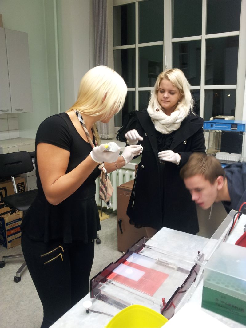 12b12m20132014TY_biotehn042.jpg