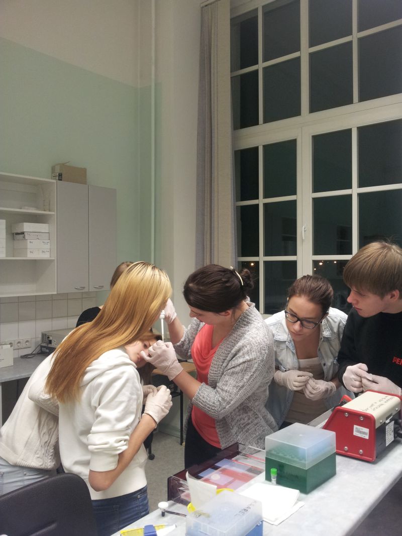 12b12m20132014TY_biotehn055.jpg