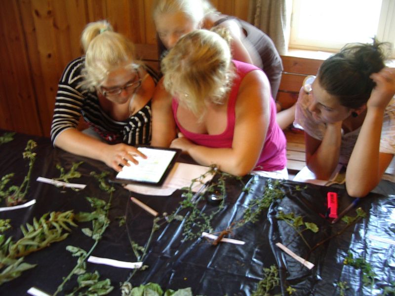 20122013botaanika10b__Kaika067.jpg