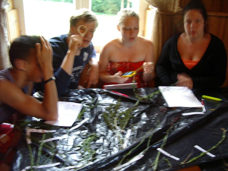 20122013botaanika10b__Kaika068.jpg