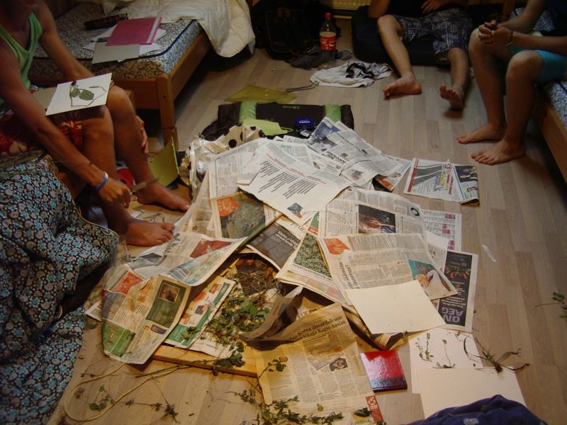 20122013botaanika10b__Kaika076.jpg