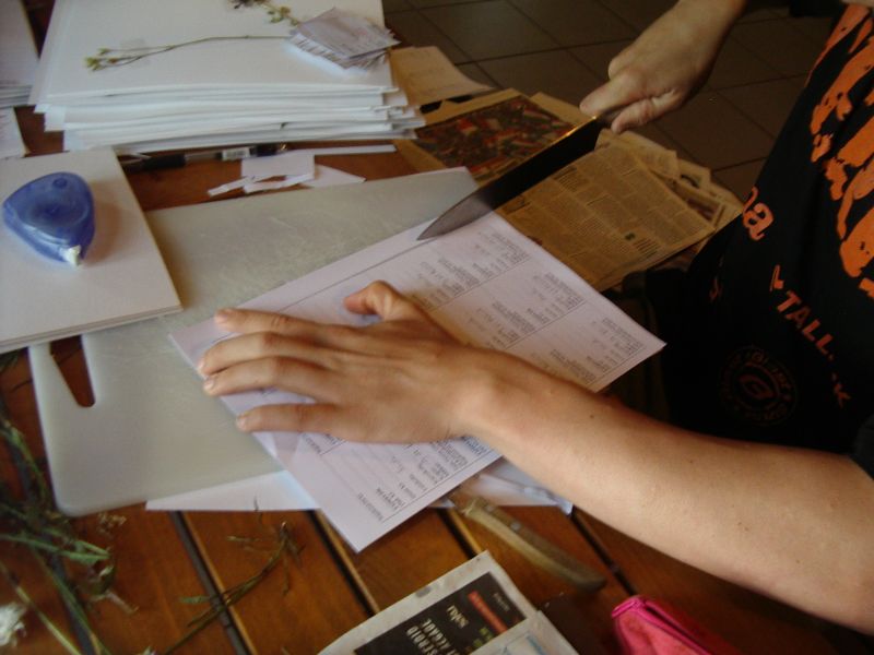 20122013botaanika10b__Kaika078.jpg