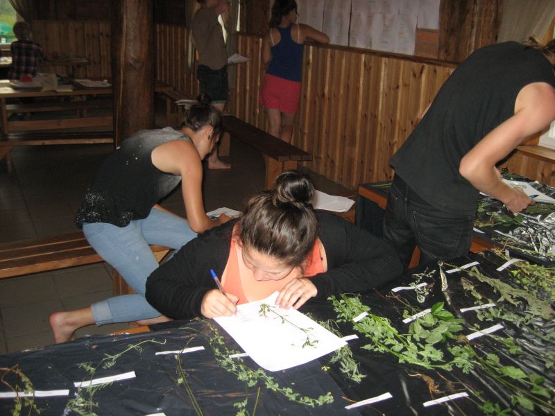botaanika20122013_Kaika002.jpg