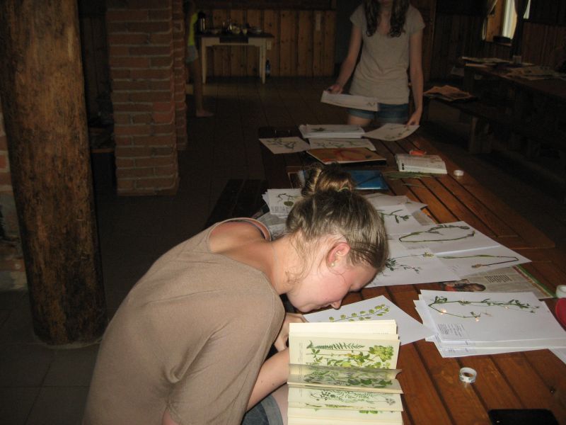 botaanika20122013_Kaika012.jpg