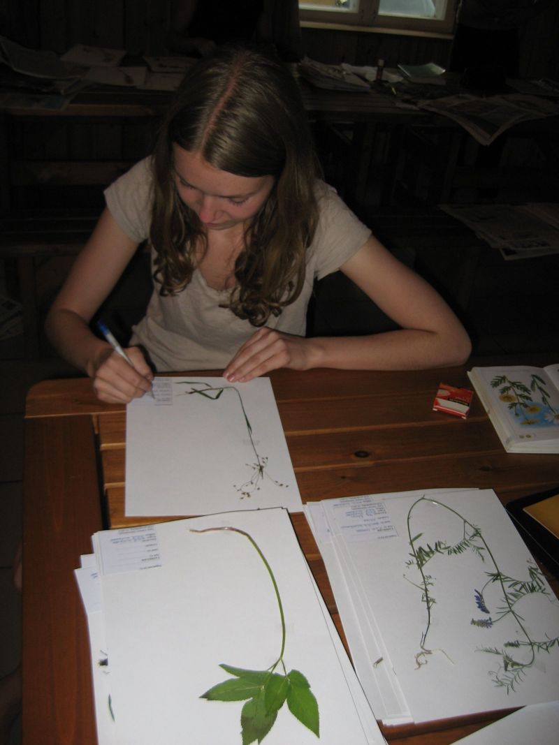 botaanika20122013_Kaika025.jpg