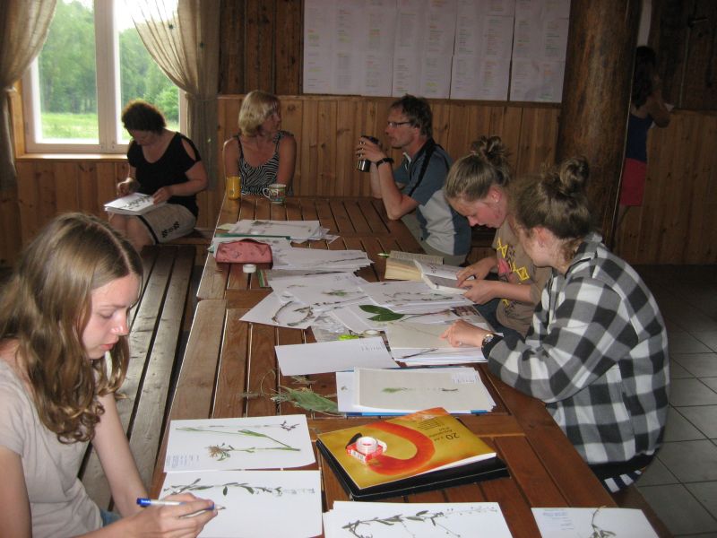 botaanika20122013_Kaika026.jpg