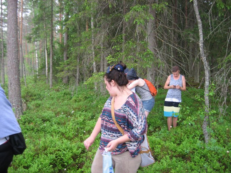 botaanika20122013_Kaika037.jpg