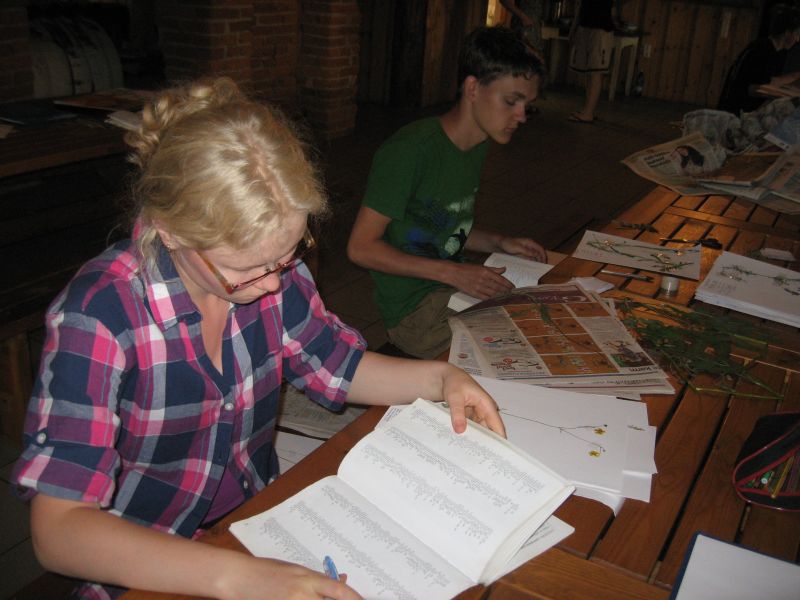 botaanika20122013_Kaika041.jpg