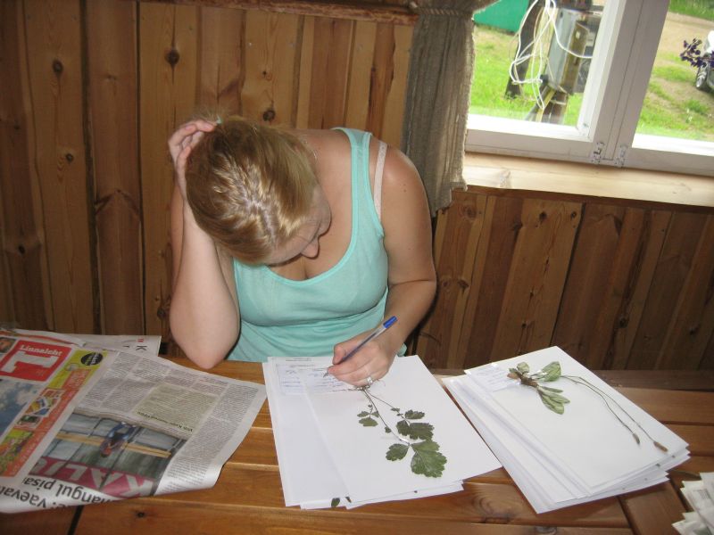 botaanika20122013_Kaika049.jpg
