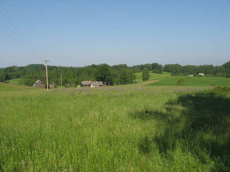 botaanika20122013_Kaika061.jpg