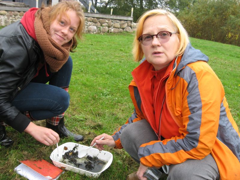 2013okol_praktikaSuursoo018.jpg