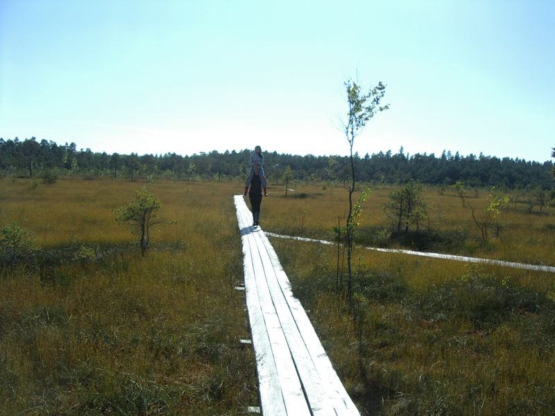 2013seenepraktSoomaa009.jpg