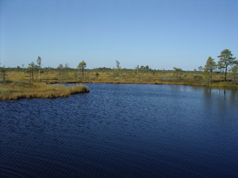 2013seenepraktSoomaa012.jpg