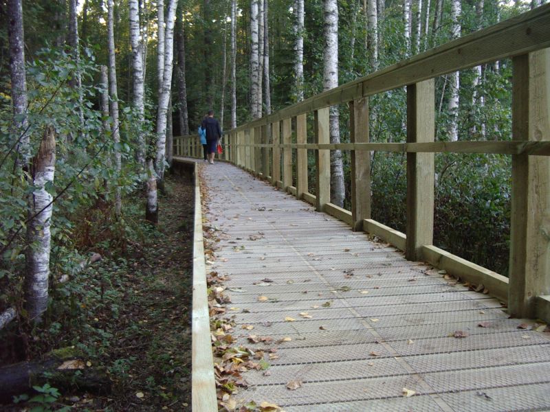 2013seenepraktSoomaa024.jpg
