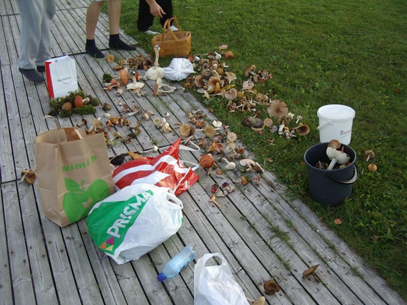 2013seenepraktSoomaa026.jpg
